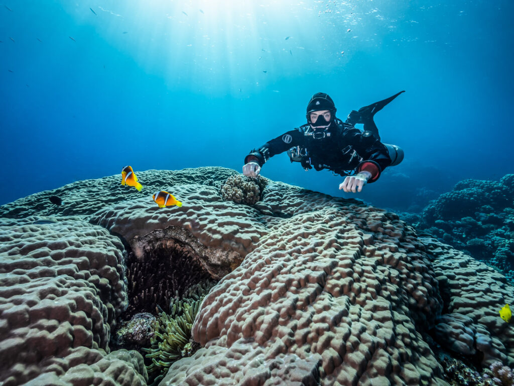 My Technical Diving Internship: An Experience of a Lifetime! 5 25 11 20 Islands Matt 22 Recovered web