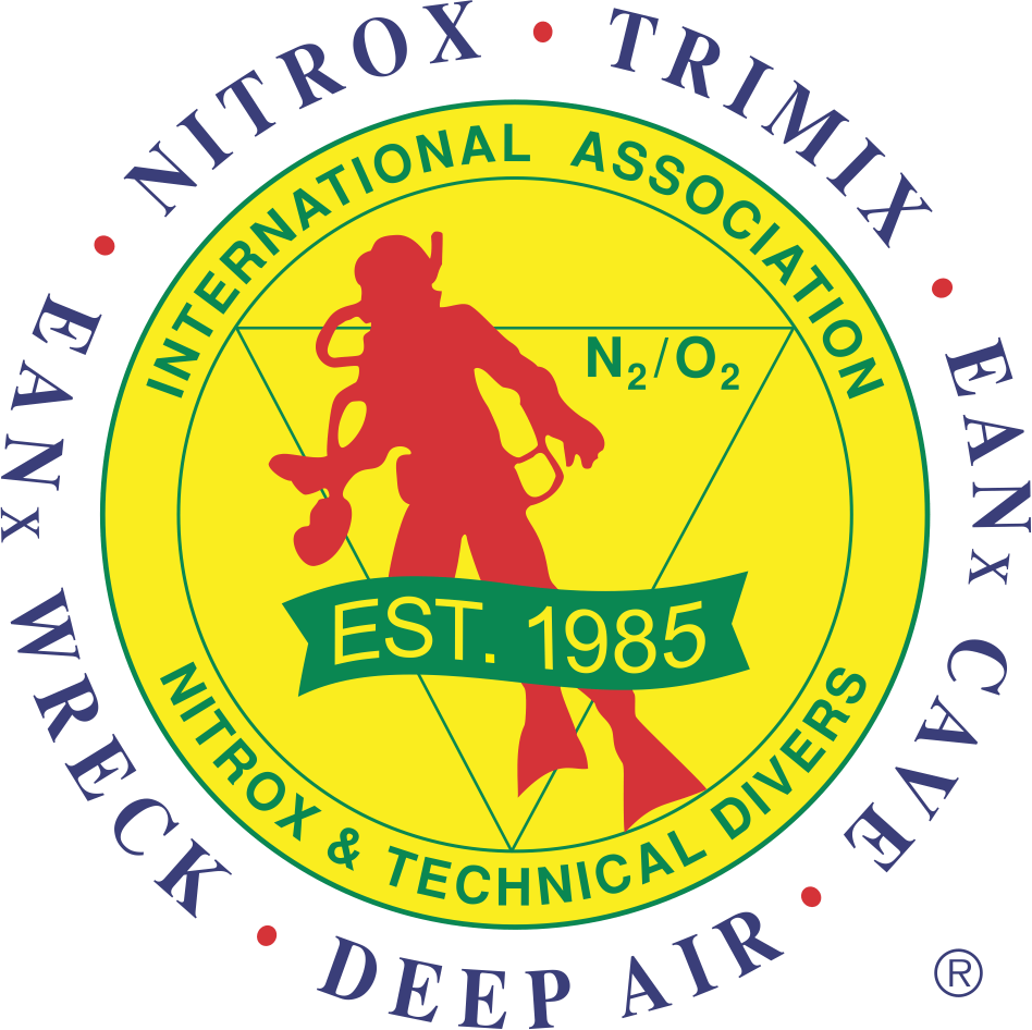 iantd logo est 1985 full color 1