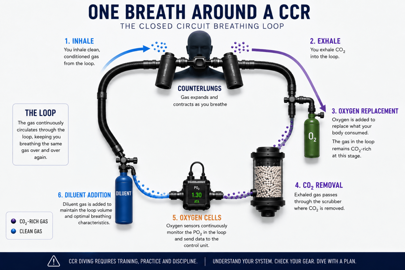 How Does a CCR Work? A Simple Guide to Closed-Circuit Rebreathers 3 Codex Image 25 Aug 2026 16 40 52